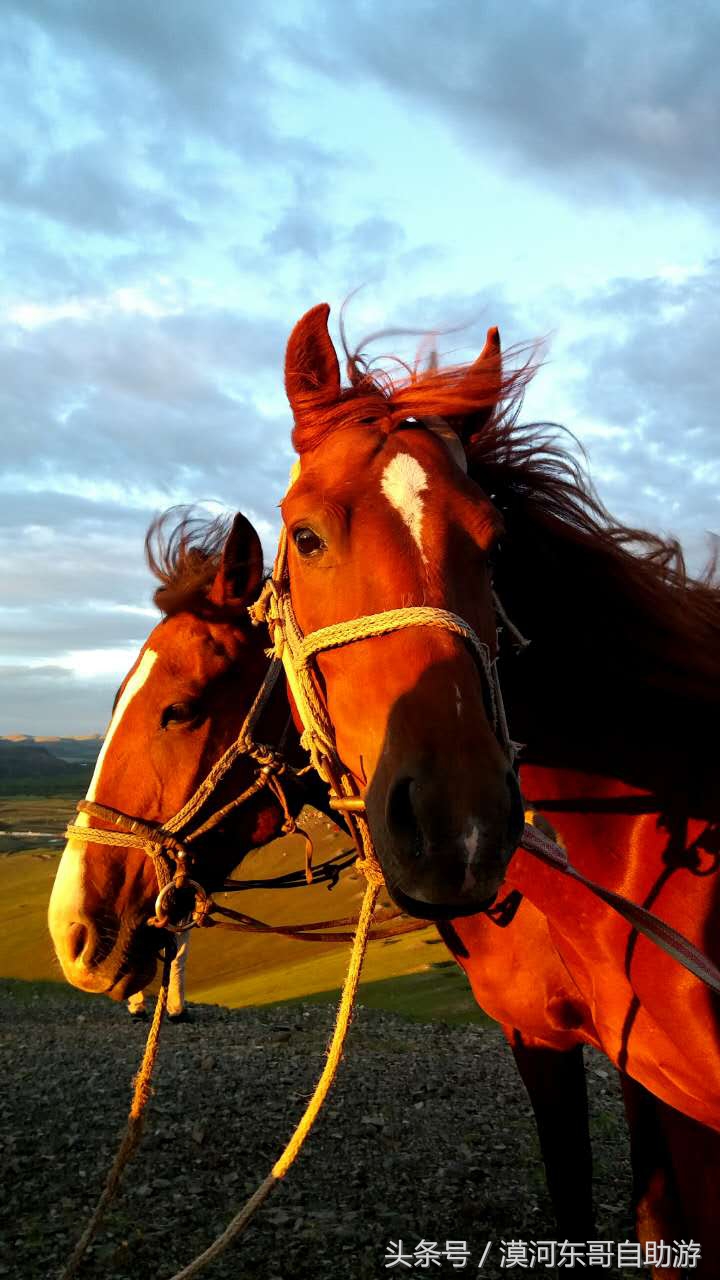 呼伦贝尔漠河旅游攻略夏季,漠河呼伦贝尔阿尔山10日游攻略