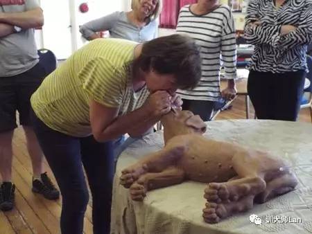 狗狗受伤了严重怎么处理,狗狗吃了不干净的怎么急救