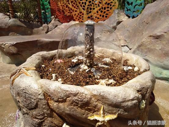 锐丽异类的上海之旅：坚果Pro畅玩迪士尼