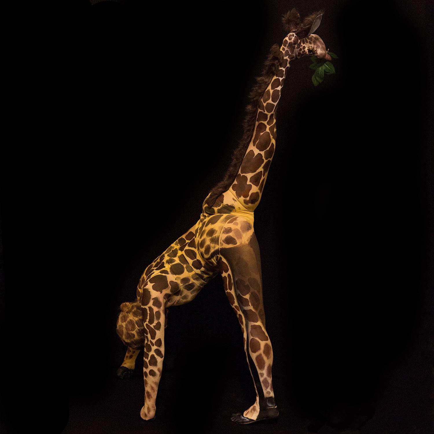 考眼力你看见了几人,考眼力能看出几个人