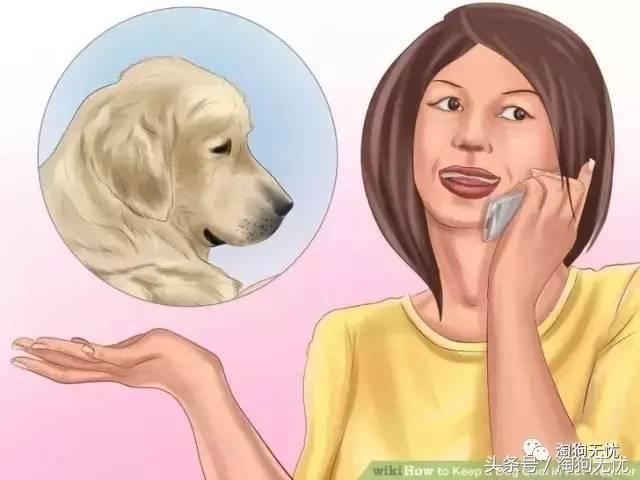 狗狗中暑引发心脏病怎么办,狗狗中暑后一直叫是怎么了