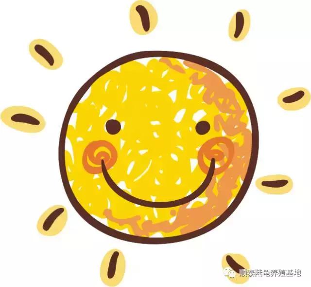 我是陆龟但是我也很怕热哦，千万不要让我暴晒哟