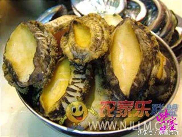 京津冀农家院详细攻略,紫塞大钦岛伟浩渔家乐