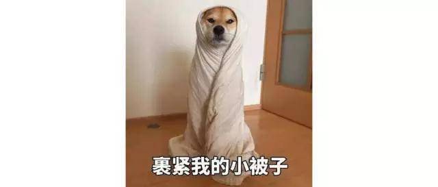 让直男闻了十几款沐浴露，公认最撩人的才40块！