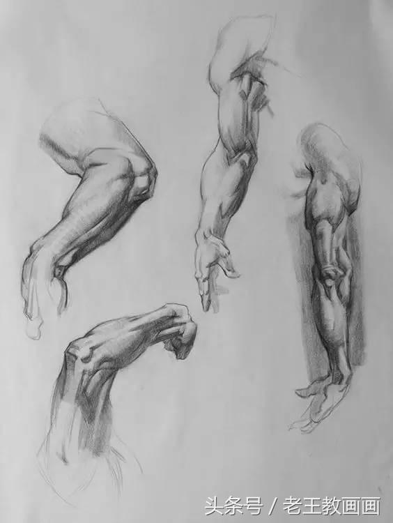 教100个零基础画画小白,零基础自学绘画入门书