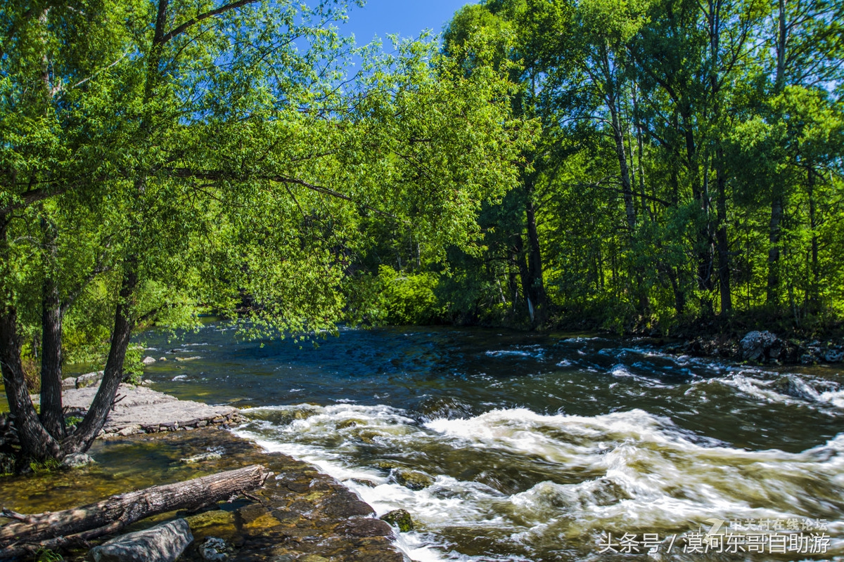 呼伦贝尔漠河旅游攻略夏季,漠河呼伦贝尔阿尔山10日游攻略