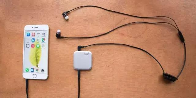 耳朵的位置特点写一段话,耳朵的位置作文