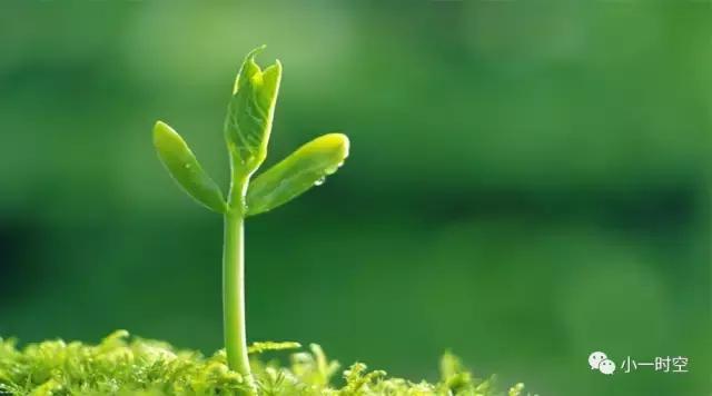 热敷可以缓解中暑吗,中暑可以喝运动饮料吗