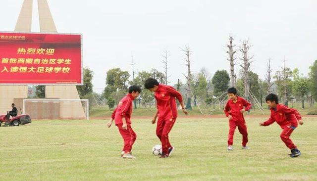 运动吧少年们视频,运动吧少年系列