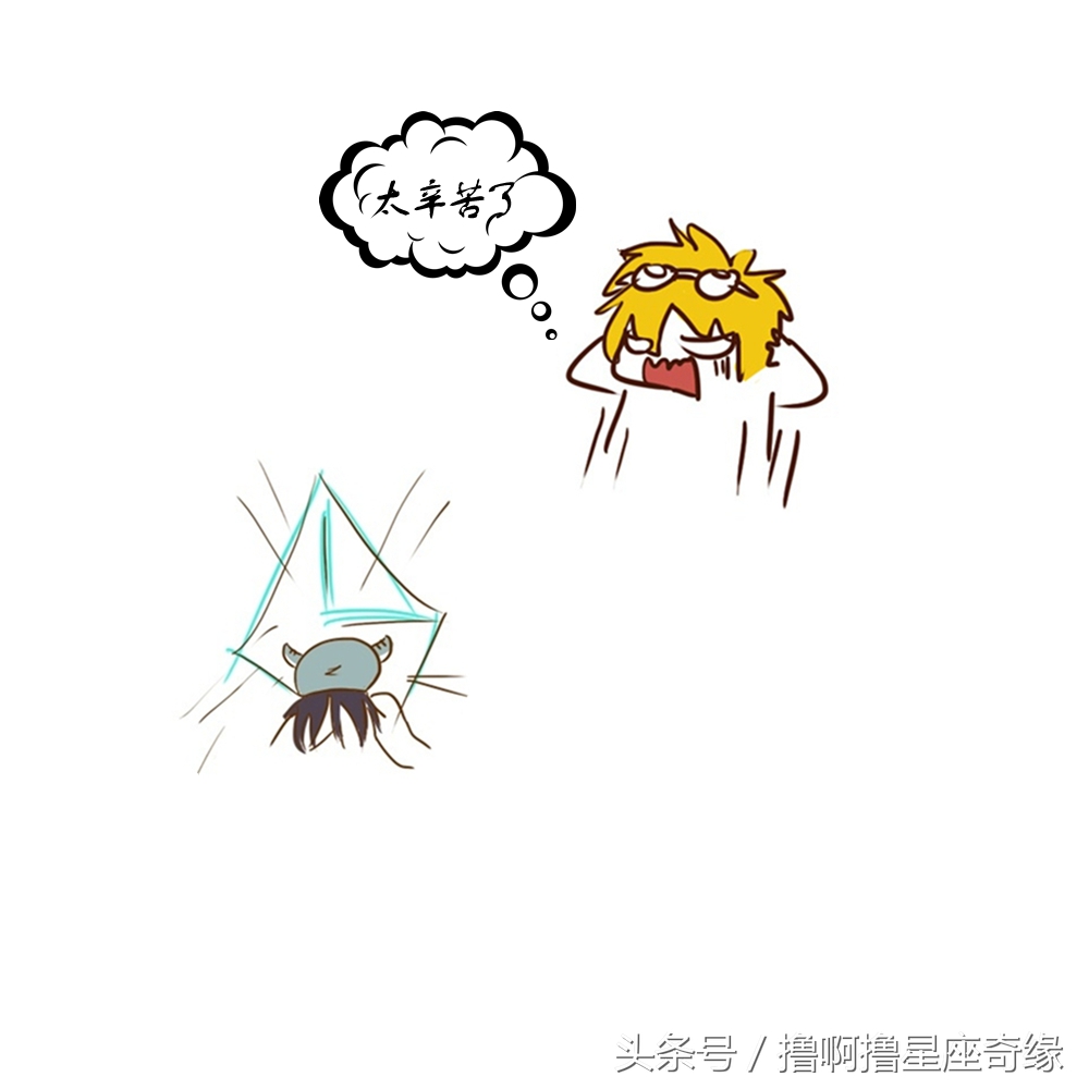 十二生肖夏天解暑,12星座夏季减肥高招