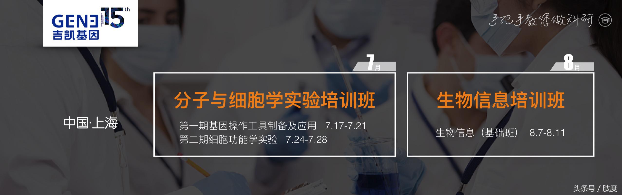 如何测定提取出的外泌体浓度,外泌体纯化