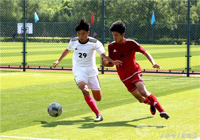 婀栧崡灏戝勾瓒崇悆涔嬪穮,婀栨箻灏戝勾