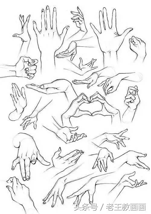 教100个零基础画画小白,零基础自学绘画入门书