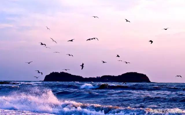 大连星海海滨浴场攻略,大连海滨浴场最佳时间