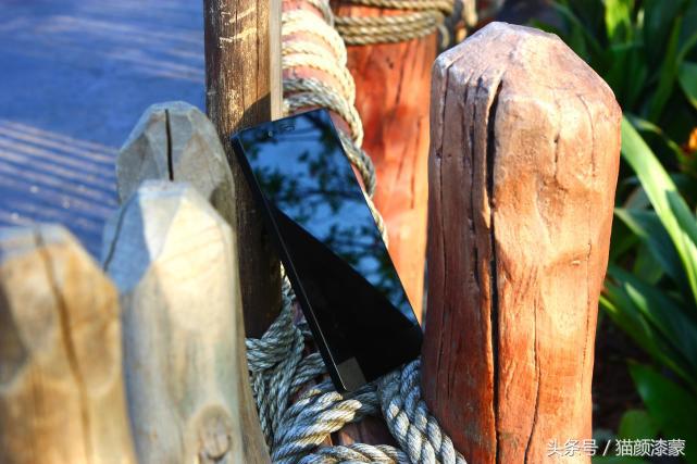 锐丽异类的上海之旅：坚果Pro畅玩迪士尼