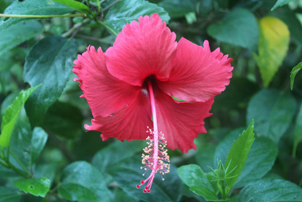 邂逅三亚绝美晚霞,来三亚邂逅绝美晚霞