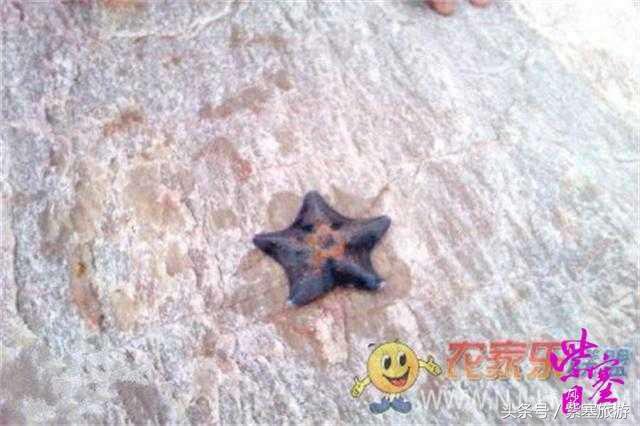 京津冀农家院详细攻略,紫塞大钦岛伟浩渔家乐