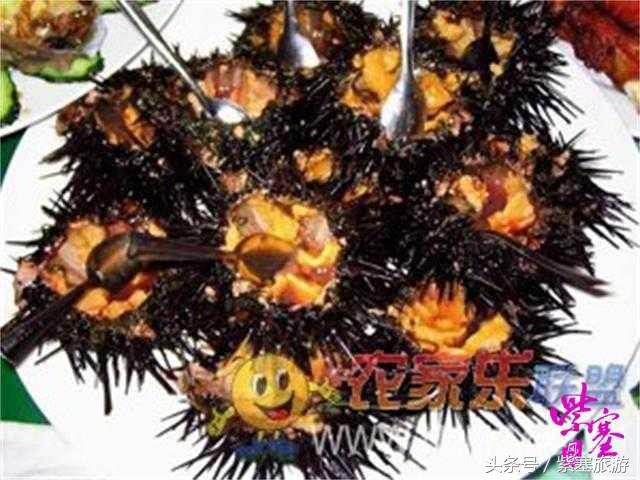 京津冀农家院详细攻略,紫塞大钦岛伟浩渔家乐