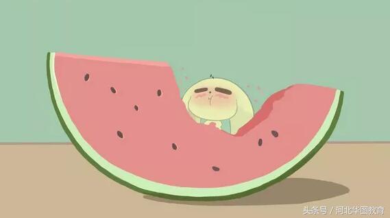 涨知识la：夏天不得不说的知识