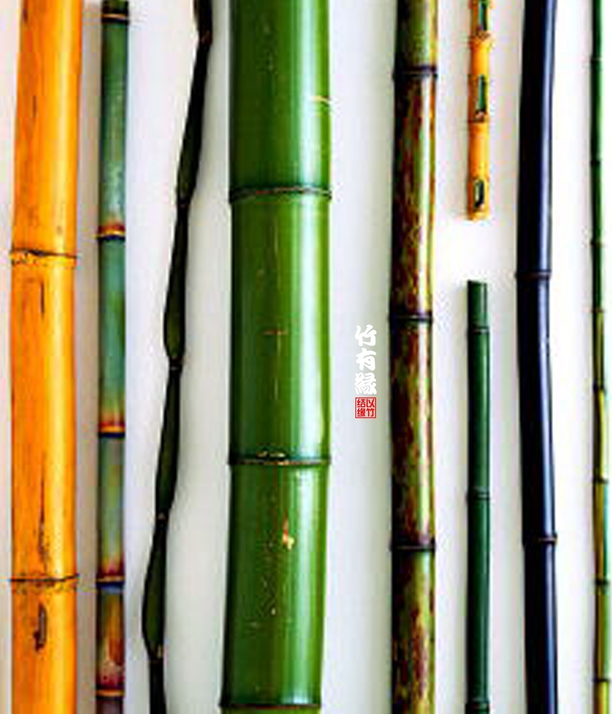 竹子染色水,竹子怎么无药染色