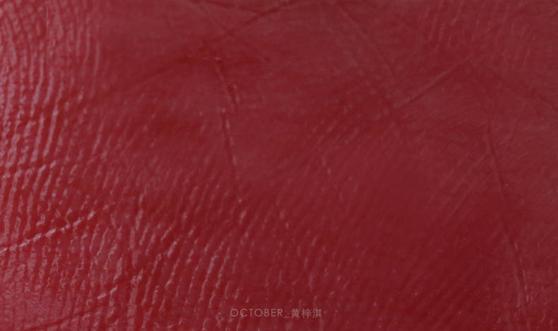 经典的mac宣传语,mac口红日常