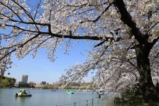 涓滀含娣卞椋熷爞鏈変粈涔堝ソ鍚冪殑,涓滀含娣卞椋熷爞鍝濂藉悆