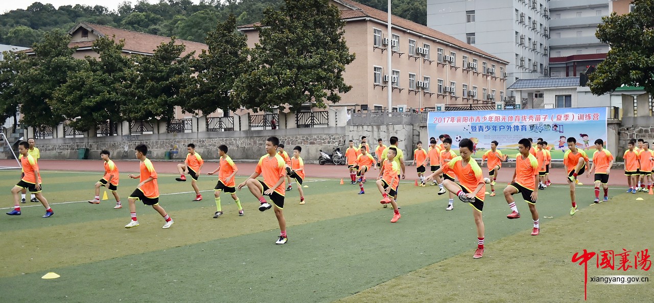 阳光青少年篮球训练营,阳光少儿体育训练营