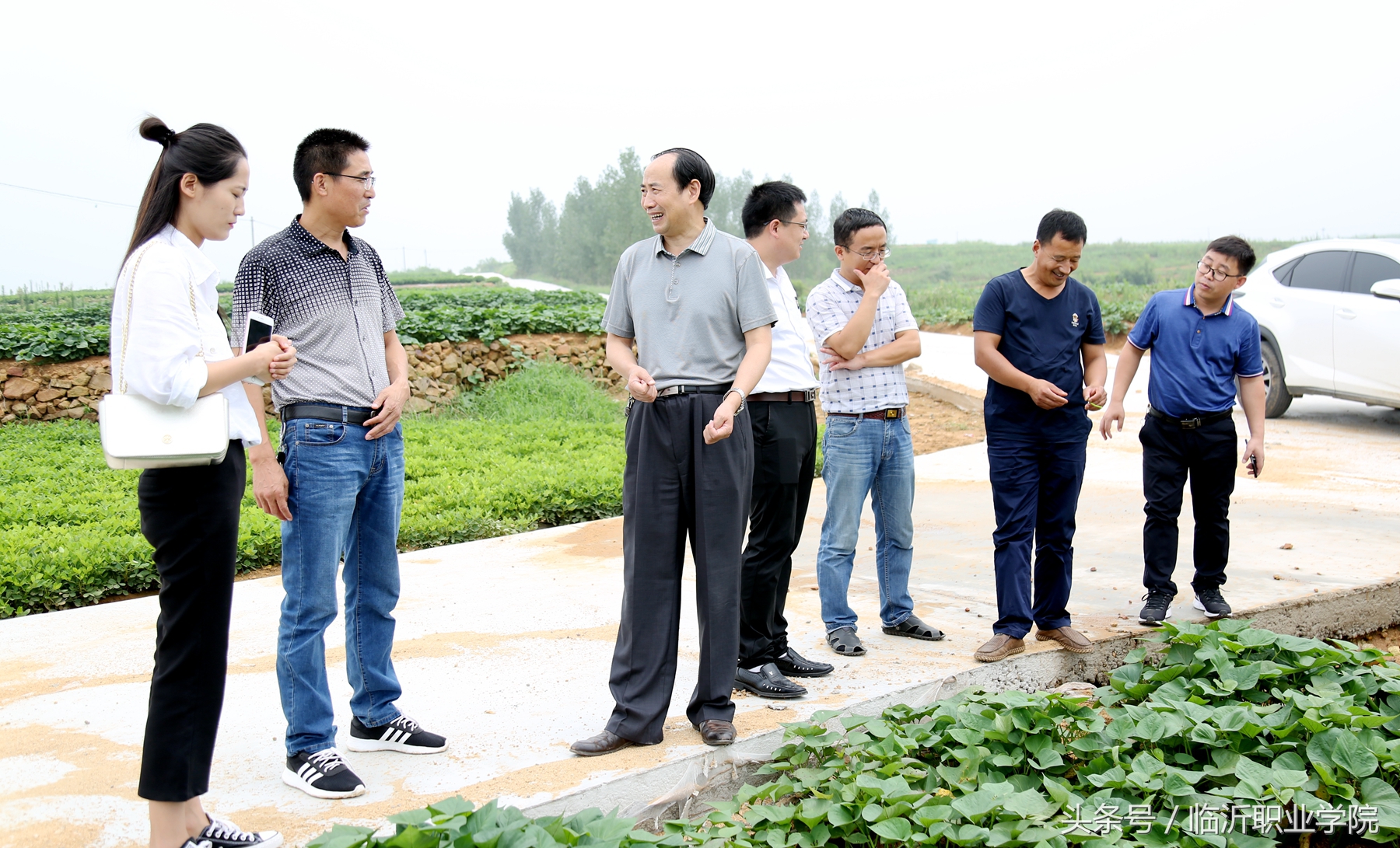 下乡扶贫第一书记,驻村第一书记电商助农增收新闻