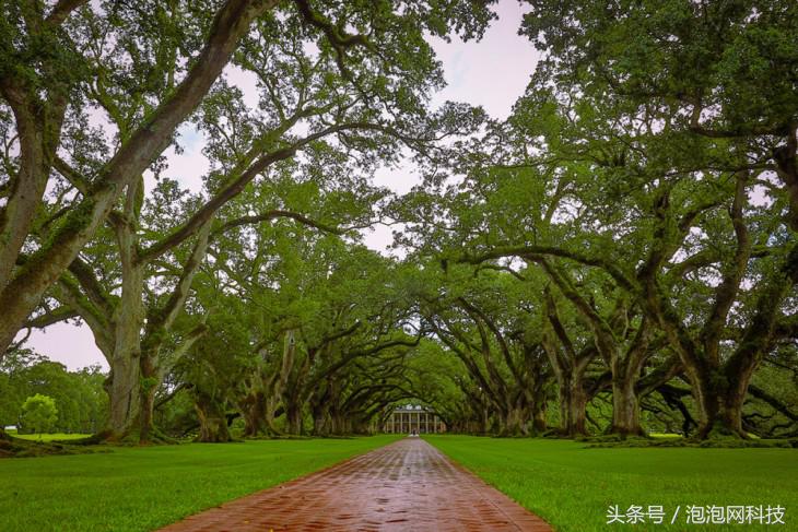 我在美国吃麻小佳能EOS路易斯安那随拍