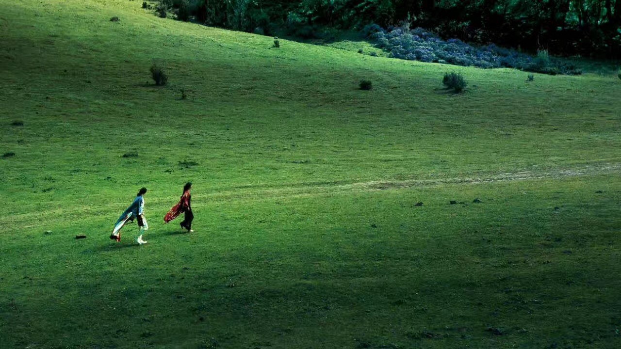 为心中的荒，填一座雪山