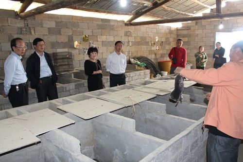 回农村创业有什么门路,在小县城创业的出路是什么呢