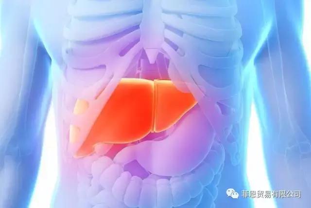 吃酵素进行肝胆排毒是真的吗,服用酵素可以补充活性酶