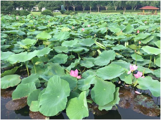 宜兴绿缘山庄度假酒店,宜兴绿缘山庄在什么地方