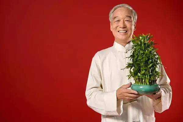 司马懿熬死曹家三代,司马懿熬死了几代曹家君主