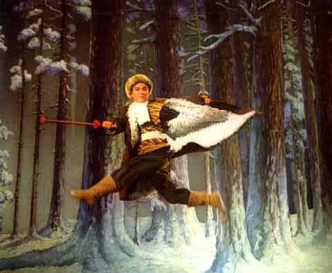 林海雪原小说简介,为什么说林海雪原是通俗传奇小说