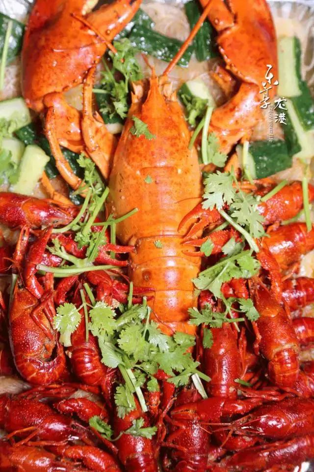 澳洲大龙虾400斤,澳洲大龙虾波士顿龙虾