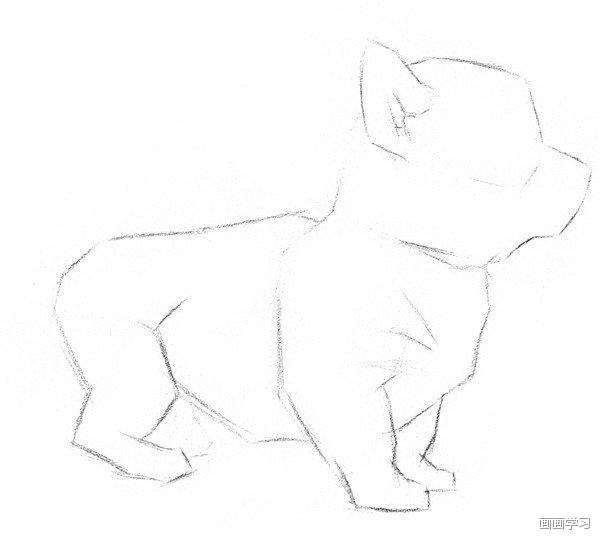 素描大熊猫,零基础怎么画出可爱猫咪素描教程