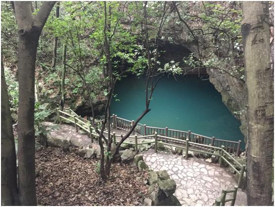 宜兴绿缘山庄度假酒店,宜兴绿缘山庄在什么地方