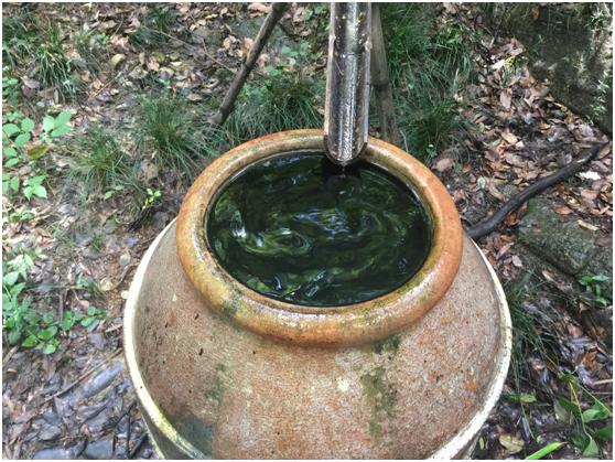 宜兴绿缘山庄度假酒店,宜兴绿缘山庄在什么地方