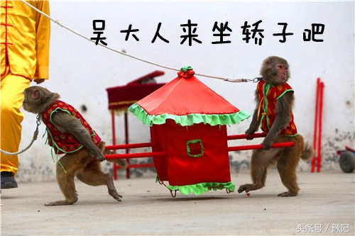 吴承恩《西游记》和连云港花果山,吴承恩四大游记