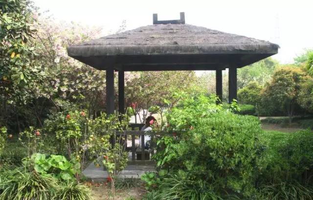 上海老夫妻旅行路线攻略,上海适合老年人去的地方推荐