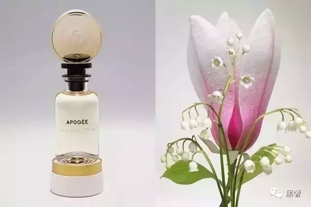 lv阿玛尼香奈儿纪梵希,彩妆新种草