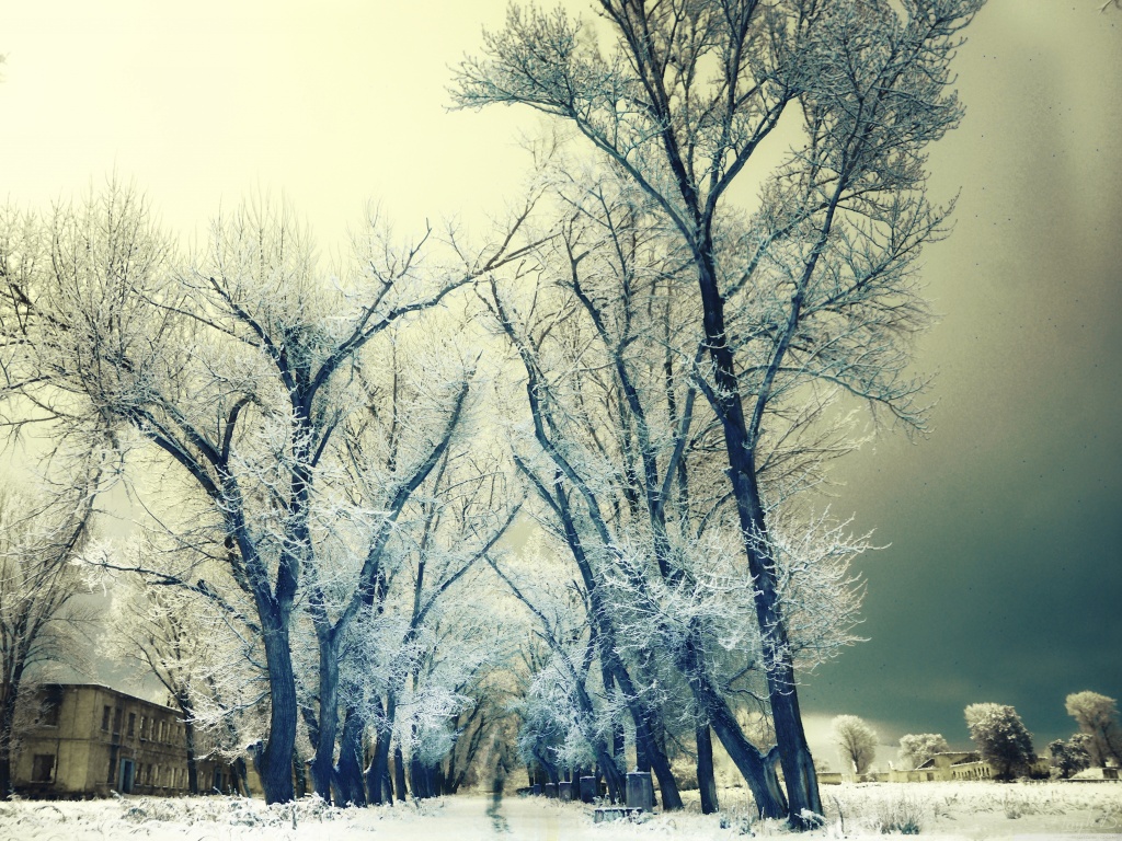 西安模特阿颖最新视频,西安阿颖