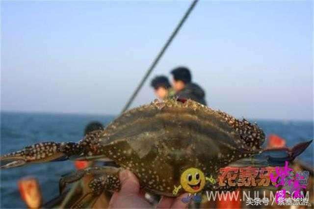 京津冀农家院详细攻略,紫塞大钦岛伟浩渔家乐