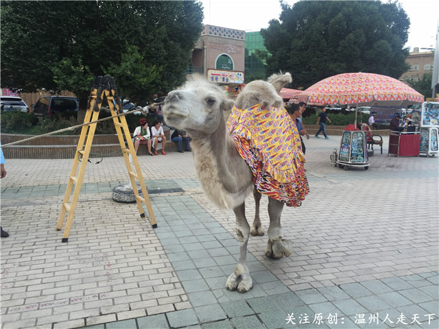 新疆南疆之旅攻略火车,为期八天的南疆之旅完美结束