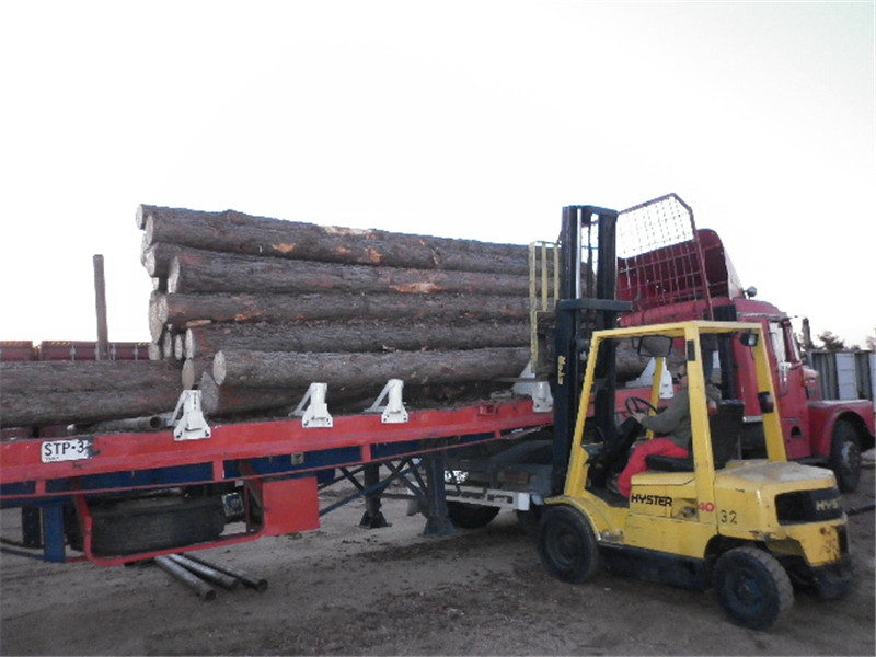 巴西第七天，松木堆场，检尺装柜