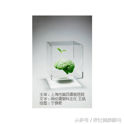 脑中风步态训练,脑中风康复学