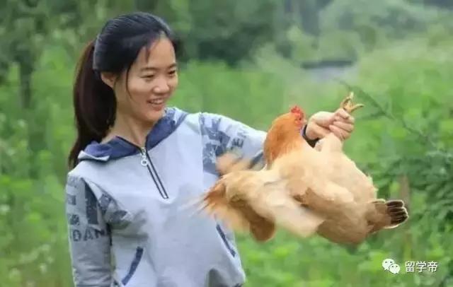 鎹″瀮鍦惧紑鍏徃,鎹″瀮鍦惧崠鐨勫崼鐢熷肪