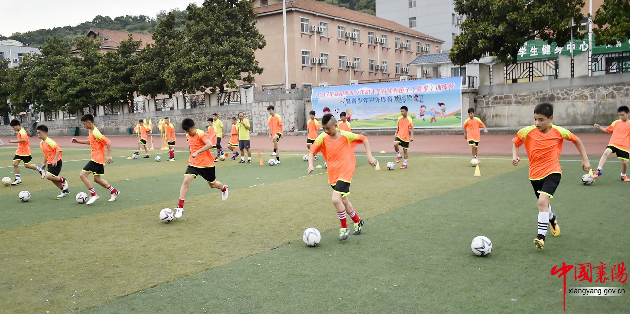 阳光青少年篮球训练营,阳光少儿体育训练营