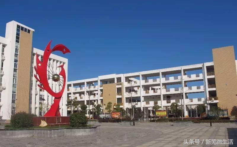 南湖学校排名,南湖学校芜湖2016